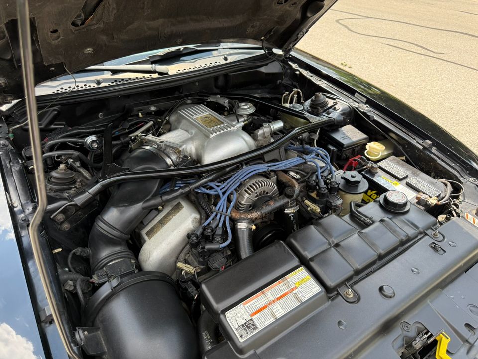 1996 Ford Mustang SVT Cobra