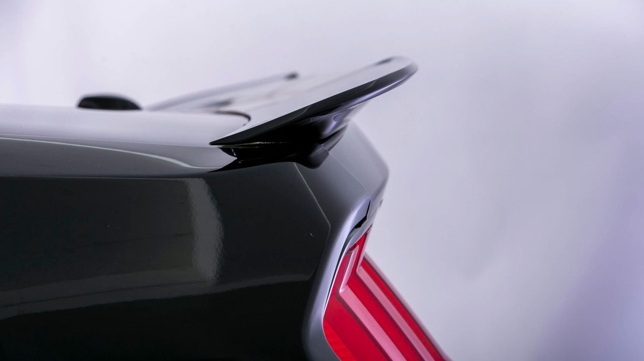 2019 FORD MUSTANG SHELBY
