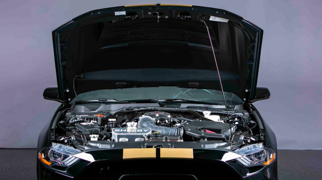 2019 FORD MUSTANG SHELBY