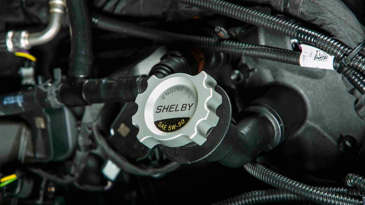 2019 FORD MUSTANG SHELBY