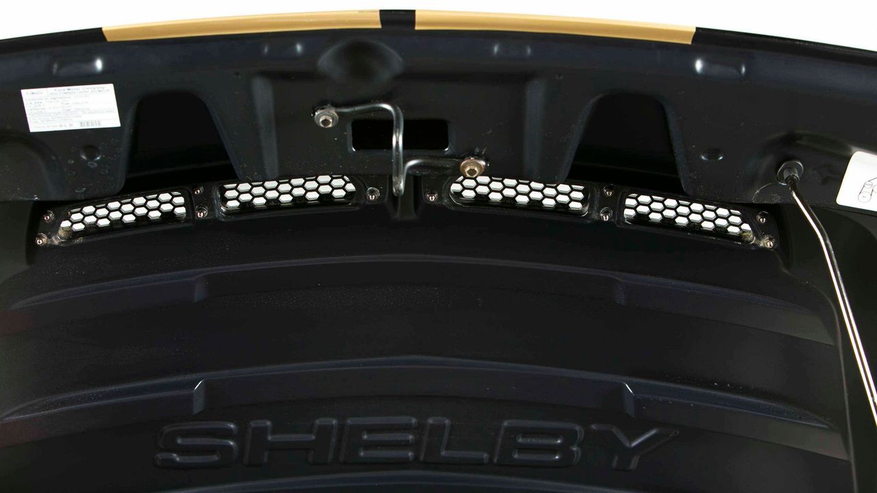 2019 FORD MUSTANG SHELBY