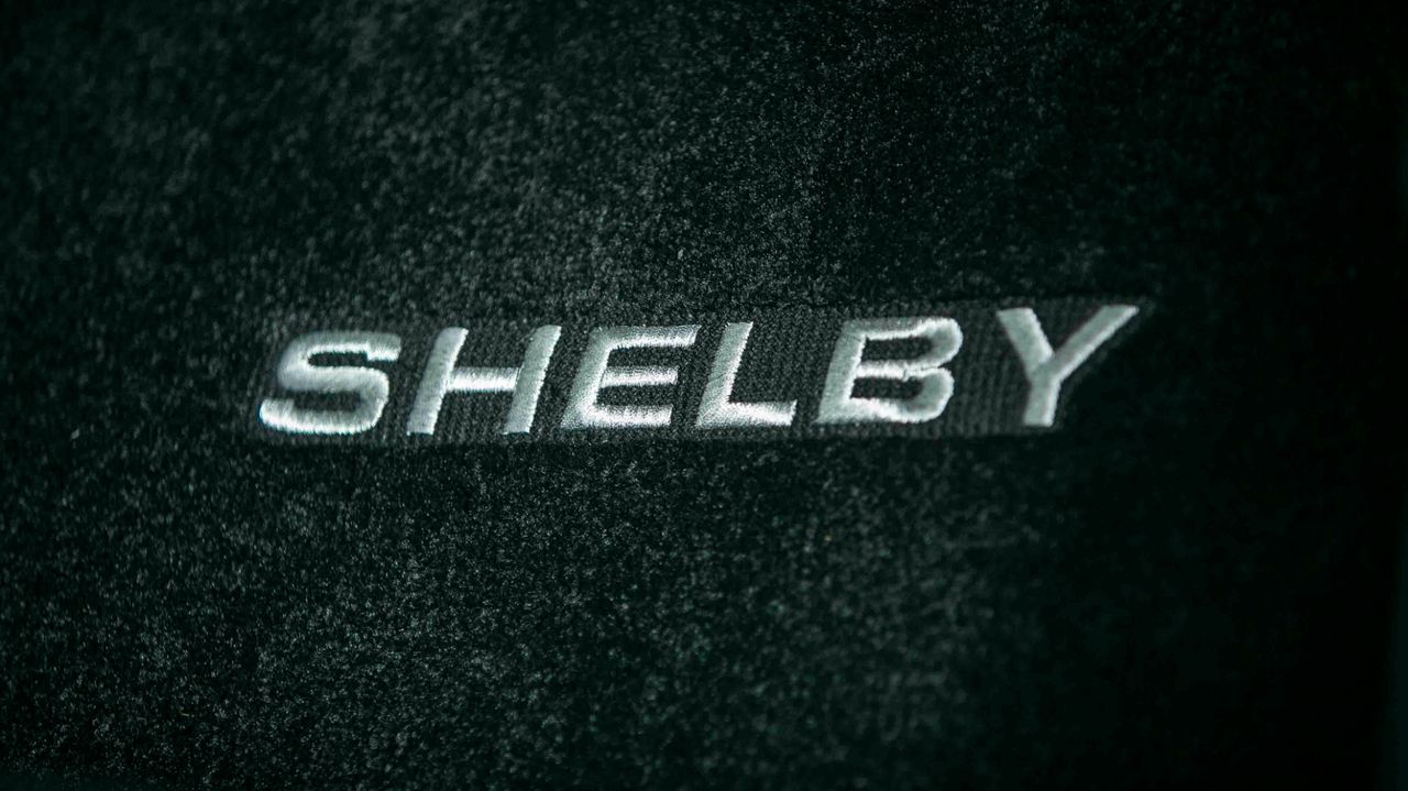 2019 FORD MUSTANG SHELBY