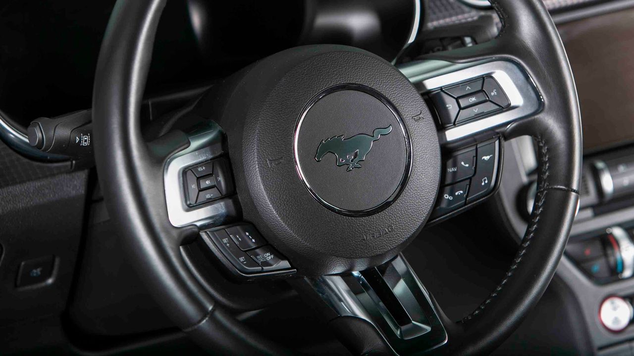 2019 FORD MUSTANG SHELBY