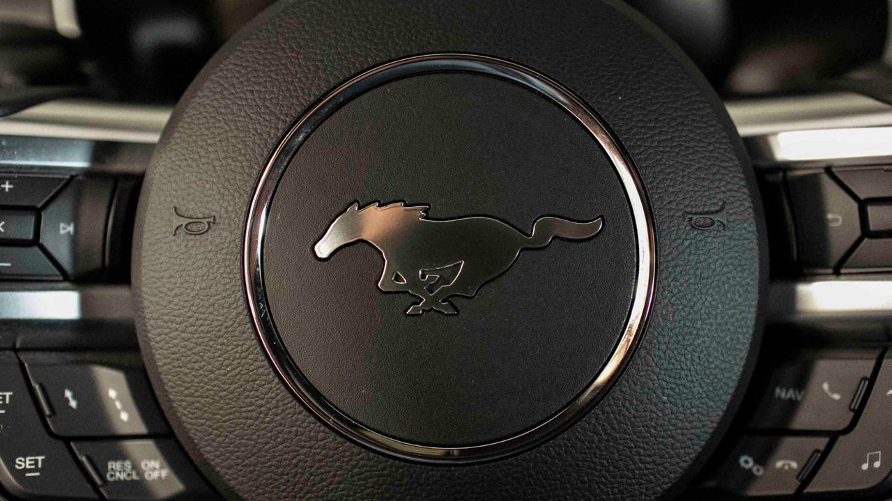 2019 FORD MUSTANG SHELBY