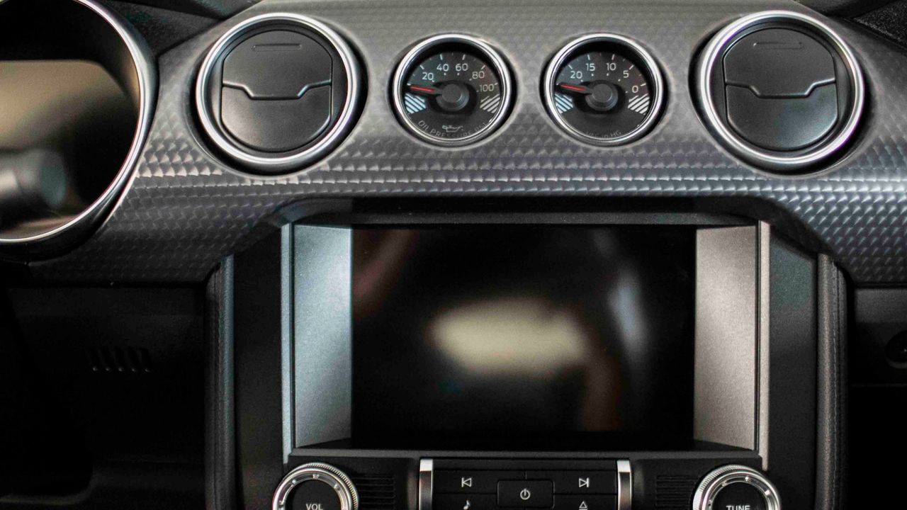 2019 FORD MUSTANG SHELBY