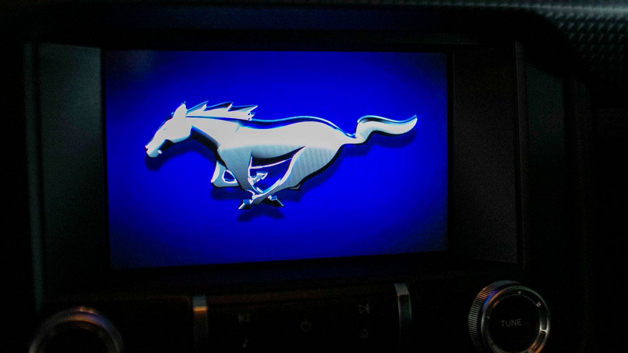 2019 FORD MUSTANG SHELBY