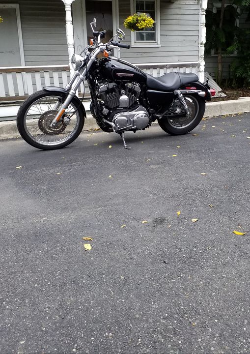 2010 HARLEY DAVIDSON SPORTSTER XL 1200 V-TWIN