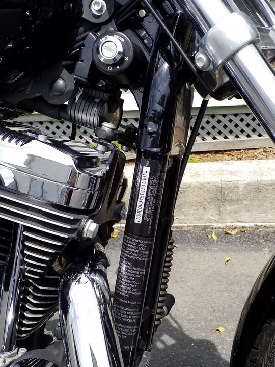 2010 HARLEY DAVIDSON SPORTSTER XL 1200 V-TWIN