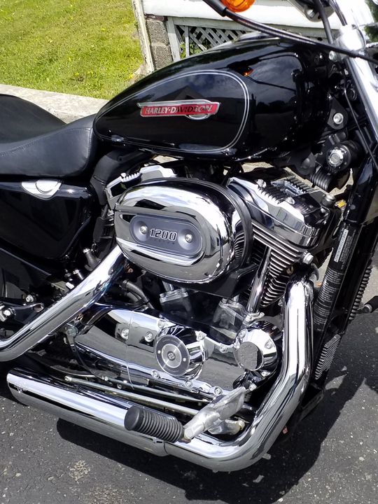 2010 HARLEY DAVIDSON SPORTSTER XL 1200 V-TWIN