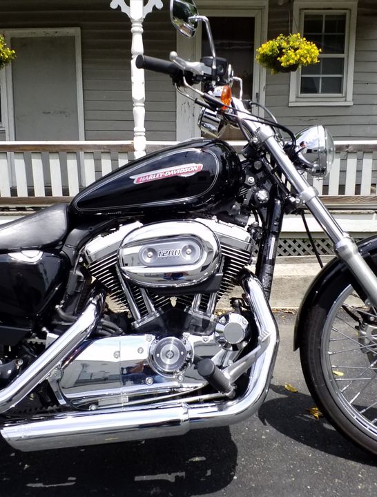 2010 HARLEY DAVIDSON SPORTSTER XL 1200 V-TWIN