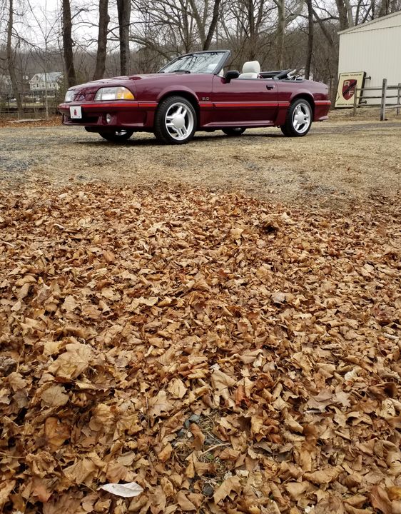 1988 FORD MUSTANG  GT