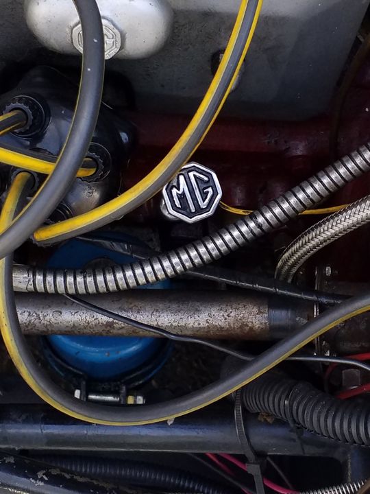 1950 MG TD