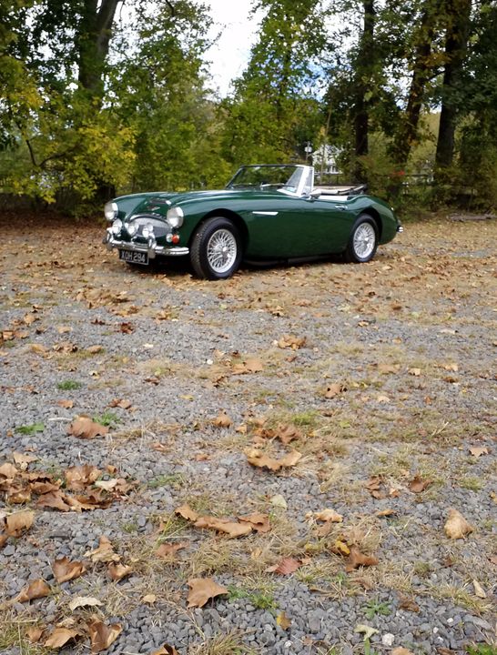 1966 AUSTIN HEALEY 3000 MK III