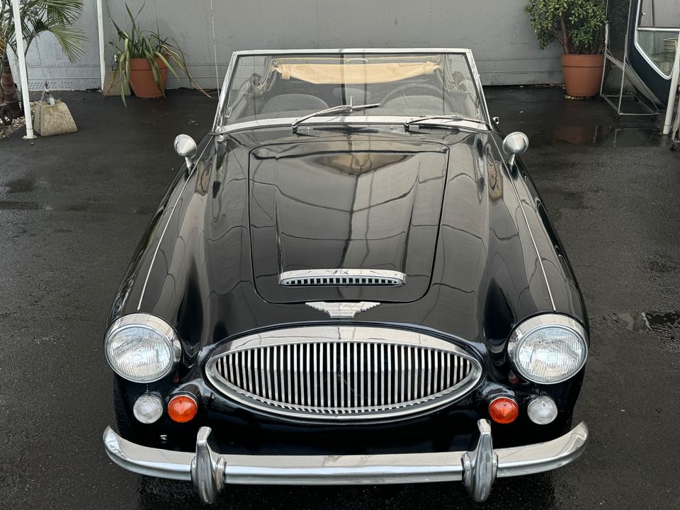 1967 AUSTIN HEALEY