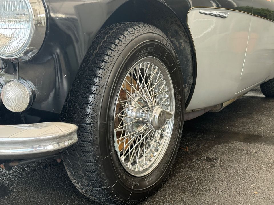 1967 AUSTIN HEALEY