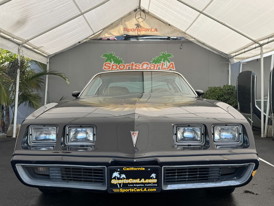 1979 PONTIAC FIREBIRD