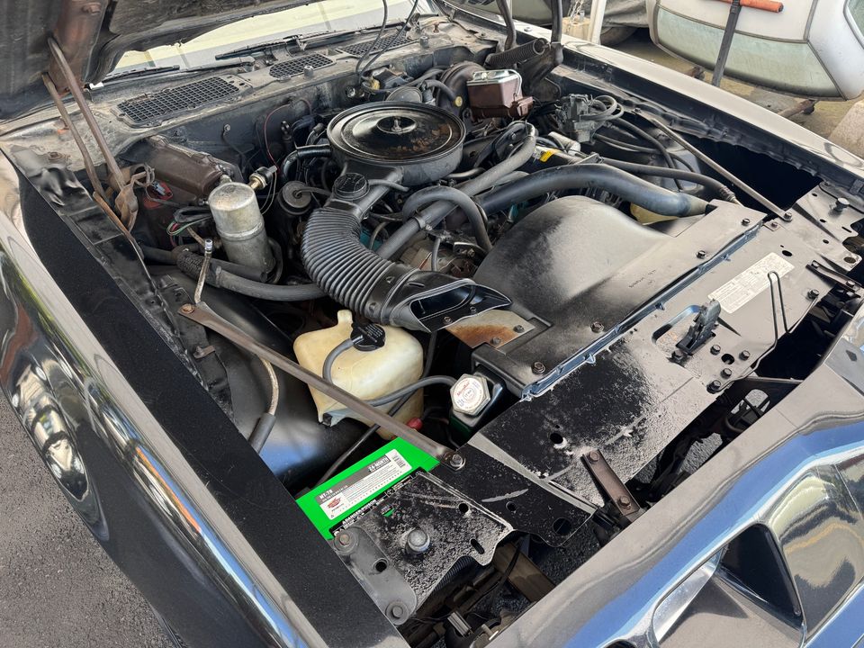 1979 PONTIAC FIREBIRD
