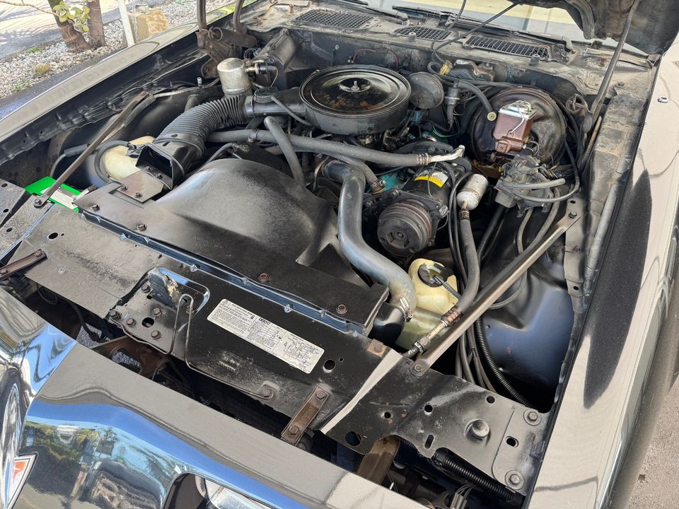 1979 PONTIAC FIREBIRD