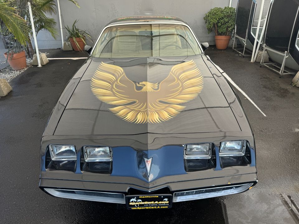 1979 PONTIAC FIREBIRD