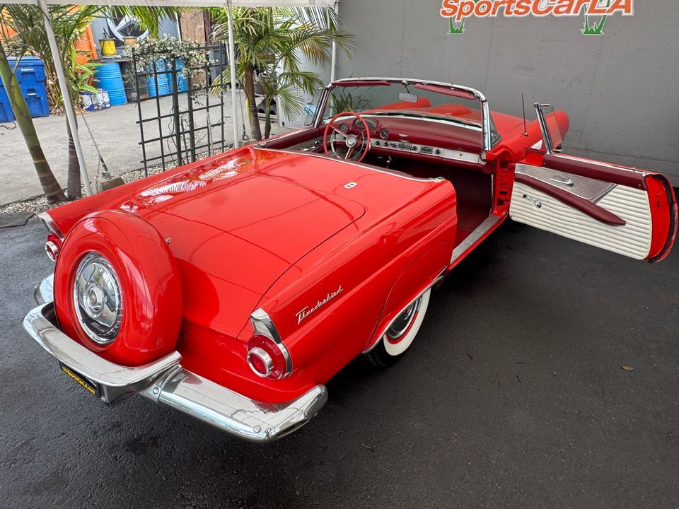 1955 FORD T BIRD