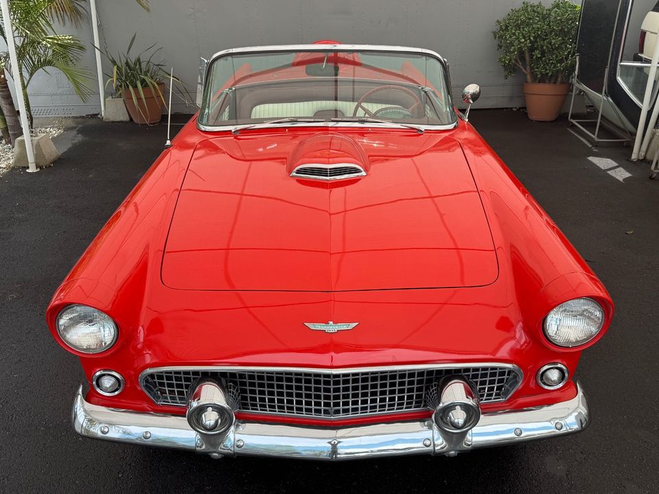 1955 FORD T BIRD