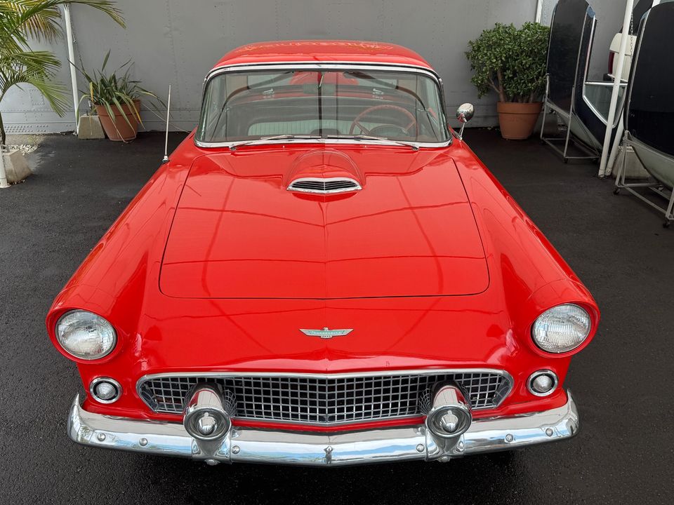 1955 FORD T BIRD