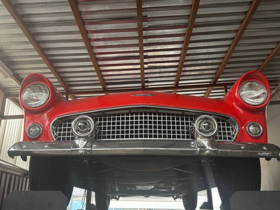1955 FORD T BIRD